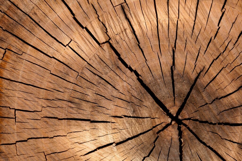 Holz Baumstamm Originelle Geschenke für Tischler coole Ideen